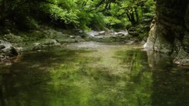 Kafkaslar. Khosta Dağı nehri üzerindeki Navalishinsky Kanyonu 'nda bir uçuş. Subtropikal orman.