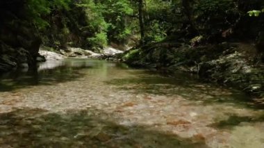 Kafkaslar. Khosta Dağı nehri üzerindeki Navalishinsky Kanyonu 'nda bir uçuş. Subtropikal orman.