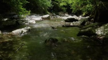 Kafkaslar. Khosta Dağı nehri üzerindeki Navalishinsky Kanyonu 'nda bir uçuş. Subtropikal orman.