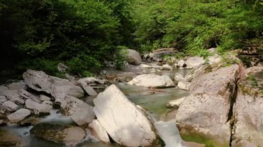 Kafkaslar. Khosta Dağı nehri üzerindeki Navalishinsky Kanyonu 'nda bir uçuş. Subtropikal orman.