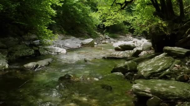 Kafkaslar Khosta Dağı Nehri Üzerindeki Navalishinsky Kanyonu Nda Bir Uçuş — Stok video