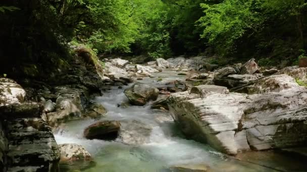 Kaukaz Lot Kanionie Nawaliszyńskim Nad Górską Rzeką Khosta Las Subtropikalny — Wideo stockowe