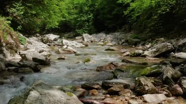 Caucasus Flight Navalishinsky Canyon Khosta Mountain River Subtropical Forest — Stock Video