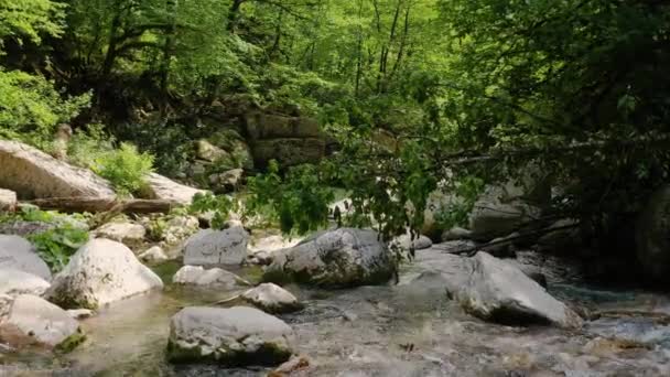 Cáucaso Voo Desfiladeiro Navalishinsky Sobre Rio Khosta Floresta Subtropical — Vídeo de Stock
