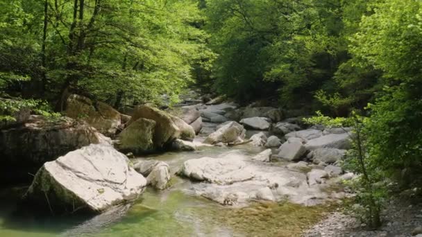 Caucaso Volo Nel Canyon Navalishinsky Sul Fiume Khosta Foresta Subtropicale — Video Stock