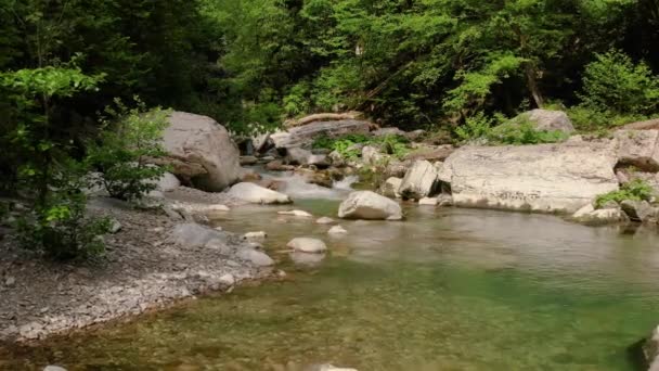 Кавказ Політ Навалашінському Каньйоні Через Річку Хоста Субтропічний Ліс — стокове відео