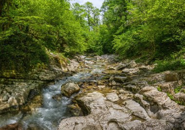 Kafkaslar. Navalishinsky kanyonu ve Khosta dağ nehri. Subtropikal orman. Hava görünümü.