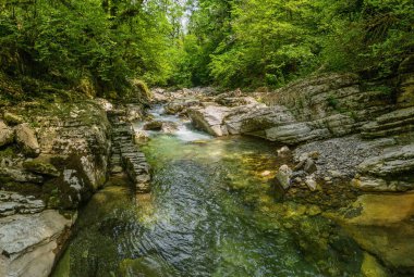 Kafkaslar. Navalishinsky kanyonu ve Khosta dağ nehri. Subtropikal orman. Hava görünümü.