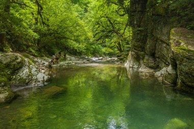 Kafkaslar. Navalishinsky kanyonu ve Khosta dağ nehri. Subtropikal orman. Hava görünümü.