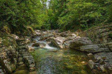 Kafkaslar. Navalishinsky kanyonu ve Khosta dağ nehri. Subtropikal orman. Hava görünümü.