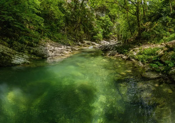 Caucase Navalishinsky Canyon Rivière Montagne Khosta Forêt Subtropicale Vue Aérienne — Photo