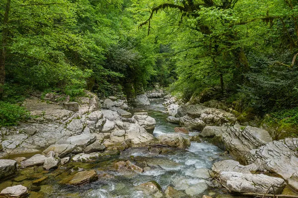 Caucasus Navalishinsky Canyon Khosta Mountain River Subtropical Forest Aerial View — Stock Photo, Image