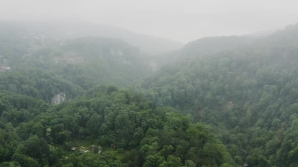 Cáucaso Vuelo Sobre Río Montaña Khosta Zona Tejo Boj Arboleda — Vídeos de Stock