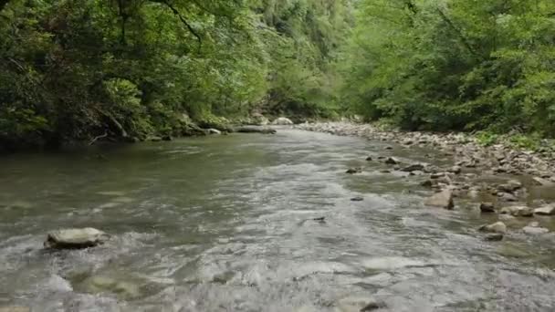 Cáucaso Vuelo Sobre Río Montaña Khosta Zona Tejo Boj Arboleda — Vídeos de Stock