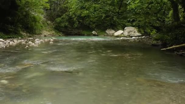 Cáucaso Vuelo Sobre Río Montaña Khosta Zona Tejo Boj Arboleda — Vídeos de Stock