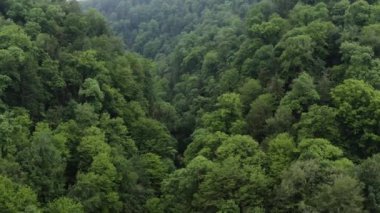 Kafkaslar. Khosta Nehri. Şeytan 'ın Kapısı Kanyonu' ndan uçun. Porsuk koruluğunun alanı..