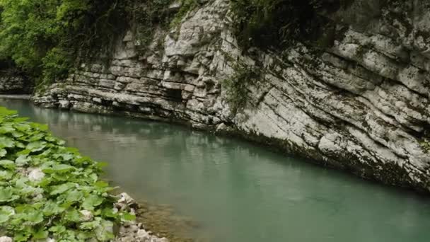 Cáucaso Vuelo Sobre Río Montaña Khosta Zona Tejo Boj Arboleda — Vídeo de stock