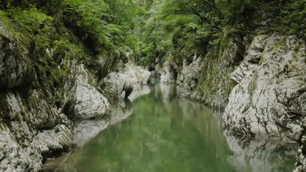 Kaukasus Khosta Flucht Durch Die Teufelsschlucht Das Gebiet Des Eiben — Stockvideo