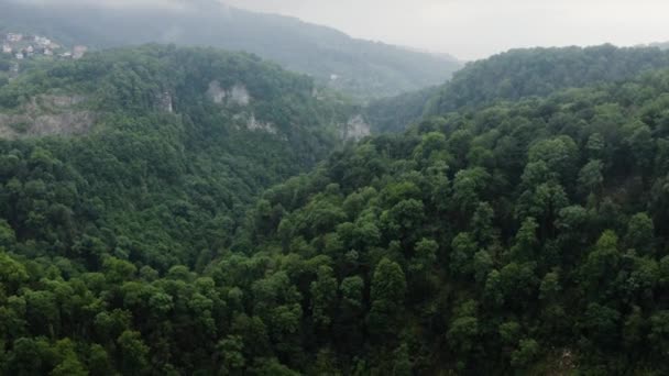 Kaukasus Floden Khosta Flyg Genom Djävulens Port Ravinen Yew Boxwood — Stockvideo