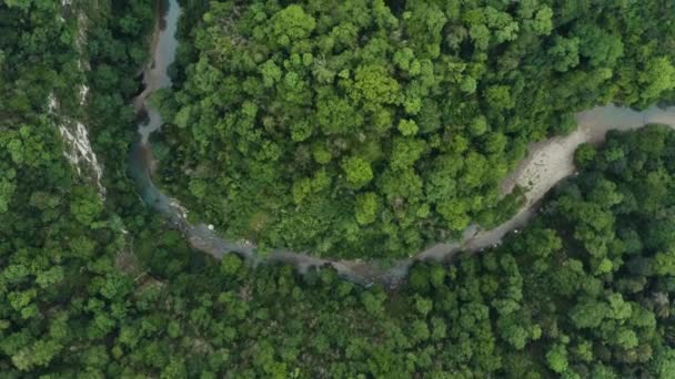 Cáucaso Vuelo Sobre Río Montaña Khosta Zona Tejo Boj Arboleda — Vídeo de stock