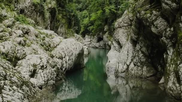 Kafkaslar Khosta Nehri Şeytan Kapısı Kanyonu Ndan Uçun Porsuk Koruluğunun — Stok video