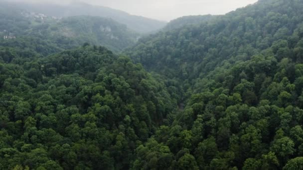 Caucaz Râul Khosta Zbor Prin Canionul Porţii Diavolului Zona Yew — Videoclip de stoc