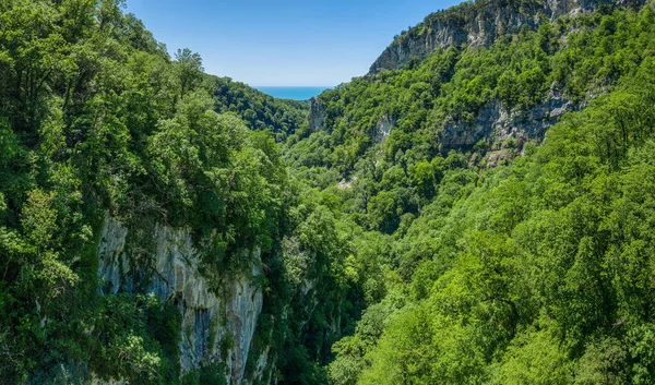 Kaukaz Wzgórze Akhun Agur Gorge Eagle Rządzą Subtropikalny Las Widok Obrazek Stockowy