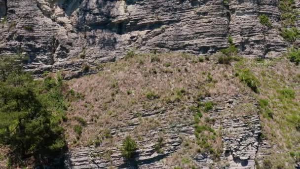 高加索 Akhun岭 Agur峡谷和鹰石 亚热带森林 空中景观 — 图库视频影像