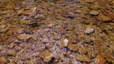 Büyük Kafkas Tepesi. Kudepsta Nehri 'nin kanyonunda uçuyor. Subtropikal orman.