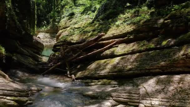 Grande Cume Caucasiano Voando Sobre Desfiladeiro Rio Kudepsta Floresta Subtropical — Vídeo de Stock