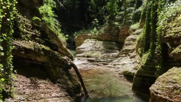 Great Caucasian Ridge Flying Canyon Kudepsta River Subtropical Forest — Stock Video