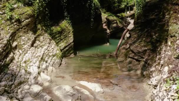 Grote Kaukasische Rug Vliegen Canyon Van Kudepsta Rivier Subtropisch Bos — Stockvideo
