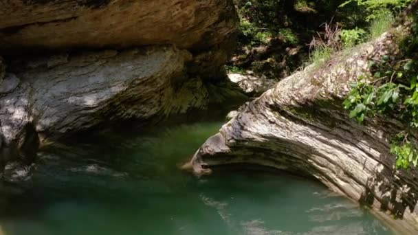 コーカサスの大尾根 クデプスタ川の渓谷を飛び越える 亜熱帯林 — ストック動画