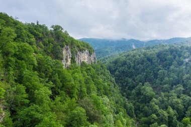 Büyük Kafkas Tepesi. Navalishinsky Kanyonu (Beyaz kayalar). Subtropikal orman. Hava görünümü.