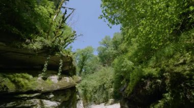 Kafkasya Dağları. Kudepsta Nehri Kanyonu. Subtropikal orman.