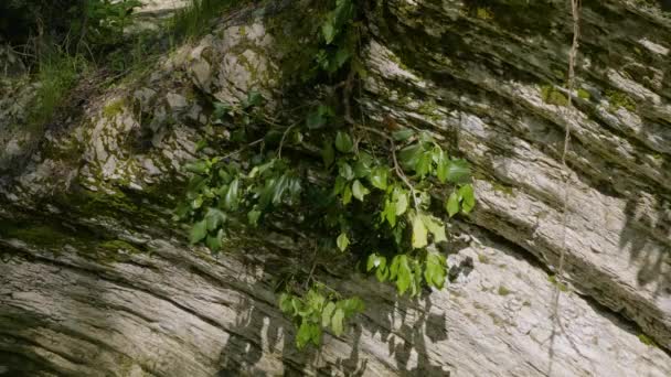 Kaukasusbergen Kudepsta River Canyon Lianas Sluttningarna Ravinen — Stockvideo