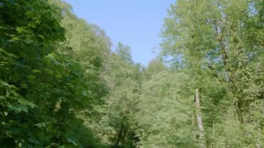 Kafkas Dağları. Dikarka Nehri ve Zmeykovsky Şelaleleri.