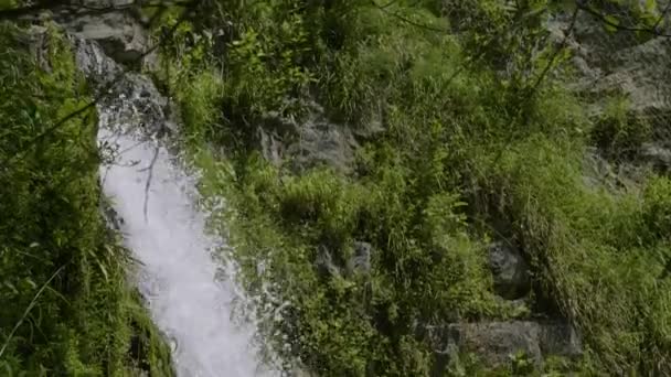 Munţii Caucaz Râul Dikarka Cascadele Zmeykovsky — Videoclip de stoc