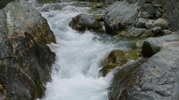 Wschodni Sayanie Jesienią Górska Rzeka Kyngarga — Wideo stockowe