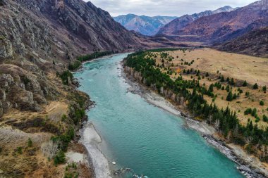 Sonbaharda Altai dağları. Katun Nehri.