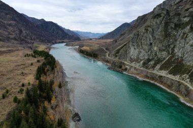 Sonbaharda Altai dağları. Katun Nehri.
