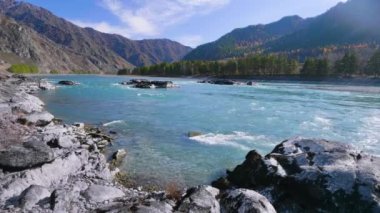 Sonbaharda Altai dağları. Katun Nehri.