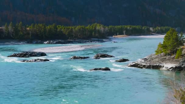 Altai Mountains Autumn Katun River — Stock Video