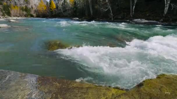 Góry Altai Jesienią Rzeka Katun — Wideo stockowe