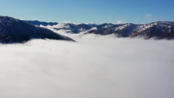 Altai Bergen Herfst Seminsky Bergkam Mist Bergen Luchtzicht — Stockvideo