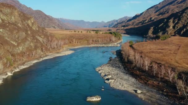 Altai Montanhas Outono Cordilheira Saladzhar Rio Katun Vista Aérea — Vídeo de Stock