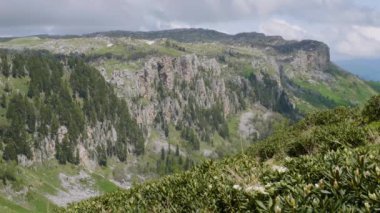 Kuzey Kafkasya. Kafkas doğa rezervi. Baharda Lago-Naki Platosu. Eğitmen vadisi..