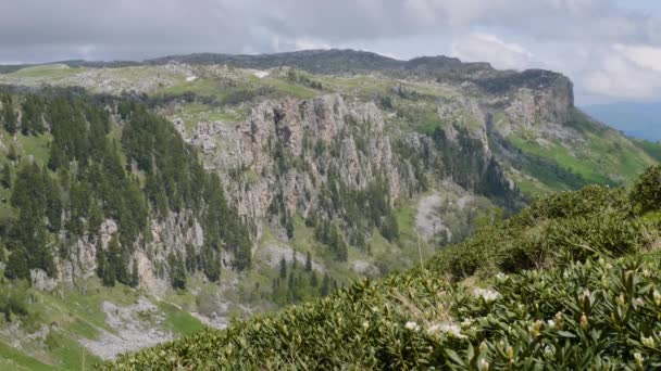 Północny Kaukaz Rezerwat Przyrody Kaukaskiej Płaskowyż Lago Naki Wiosną Wąwóz — Wideo stockowe