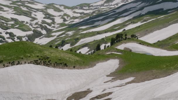 North Caucasus Caucasian Nature Reserve Lago Naki Plateau Spring Instructor — Stock Video
