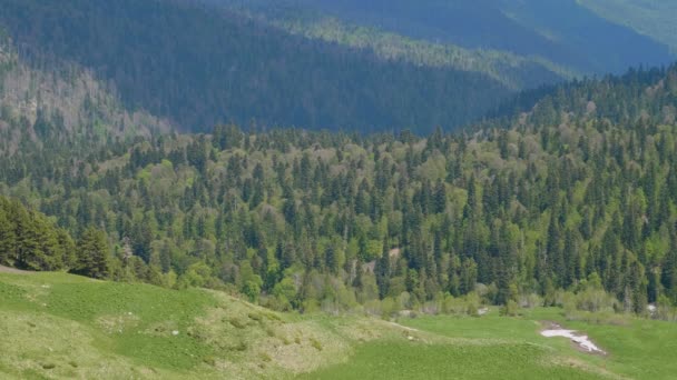 北高加索 高加索自然保护区 春天里的拉戈 纳基高原Guzeriplsky通过 — 图库视频影像